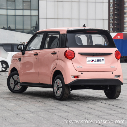 Hot Selling New Energy Cars n Stock 2023 Front Wheel Drive Electric Left Hand Driving